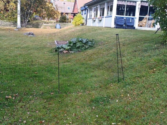 Trädgård med grön gräsmatta, två stöd med stängsel och grönska samt ett hus i bakgrunden.