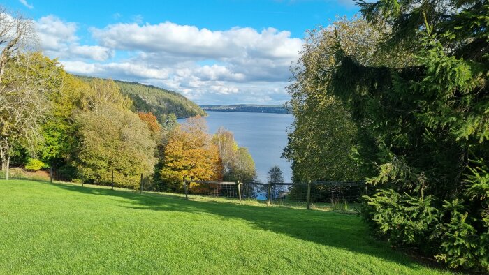 Färgglad skog med höstlöv vid en sjö, solbelyst gräsmatta och staket i förgrunden, blå himmel med moln i bakgrunden.