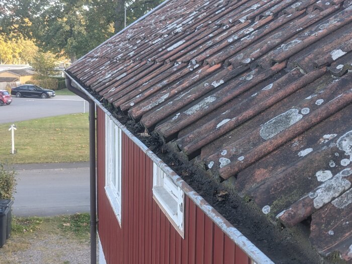 Röd träbyggnad med mossbelagt tak. Hängrännan är full av skräp och stupröret saknar avrinning, vilket leder till vattenskador.