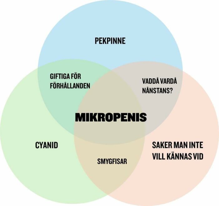 Tre överlappande cirklar med texten: Pekpinne, Giftiga för förhållanden, Vaddå vardå nånstans?, Cyanid, Smygfisar, Saker man inte vill kännas vid, och Mikropenis.