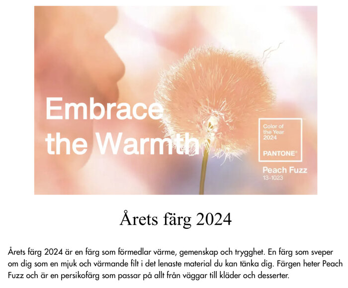 Bild på Pantones årets färg 2024, Peach Fuzz, med texten "Embrace the Warmth" och en bild på en persikofärgad blomma.