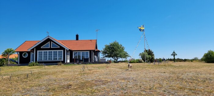 Ett svart hus med röda takpannor, flaggstång med svensk flagga och hund på en gräsplan under en klarblå himmel.