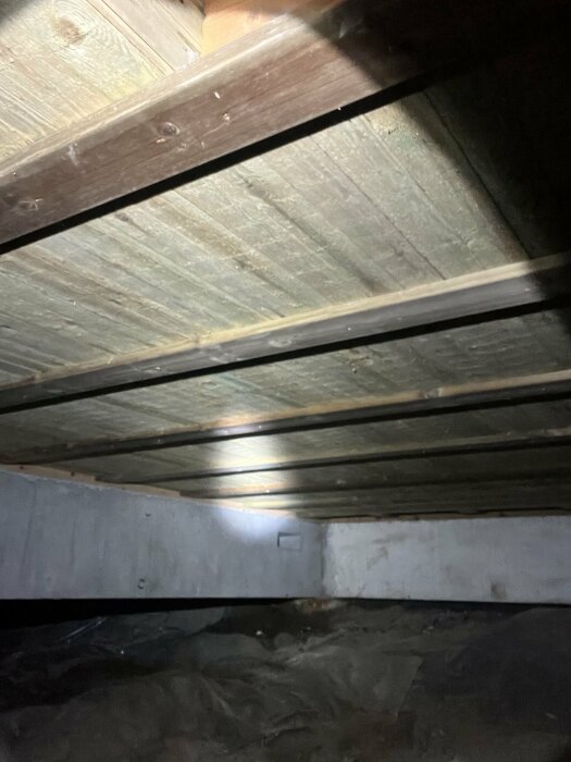 Bild på en träbjälklagskonstruktion med fuktproblem under ett hus byggt 1983, dränerat 2014, med vattenpöl vid grundens mittpunkt.