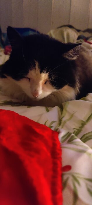 Svart och vit katt sover på en säng med blommigt täcke och röd filt.