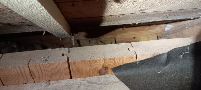 Närbild av isolering och träkonstruktion i en takfot med kutterspån, synligt mellan takbjälkarna.