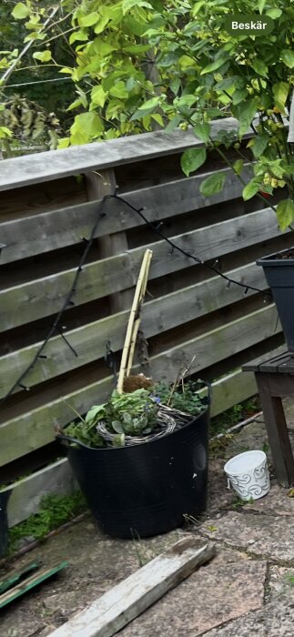 Svart blomkruka med växter vid staket, dekorerad med ljusslinga. En vit kruka och träplanka på stenlagd yta i bakgrunden.