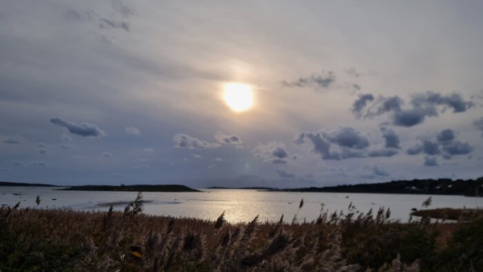 Solnedgång över sjön med molnig himmel och vass i förgrunden.