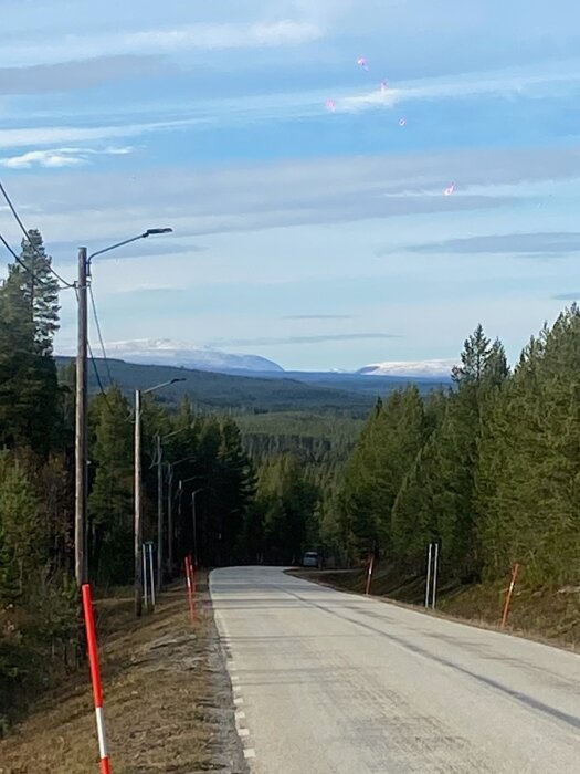 Landsväg genom skog med fjäll i bakgrunden under en klarblå himmel. Snö syns på fjälltopparna. Telefonstolpar längs vägen.