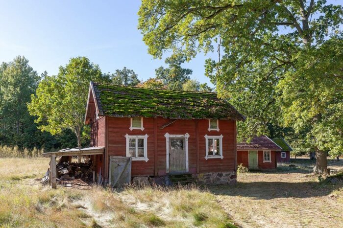 Rött trähus på lantgård omgiven av träd, med tillhörande röd byggnad i bakgrunden och gräsmatta i förgrunden.