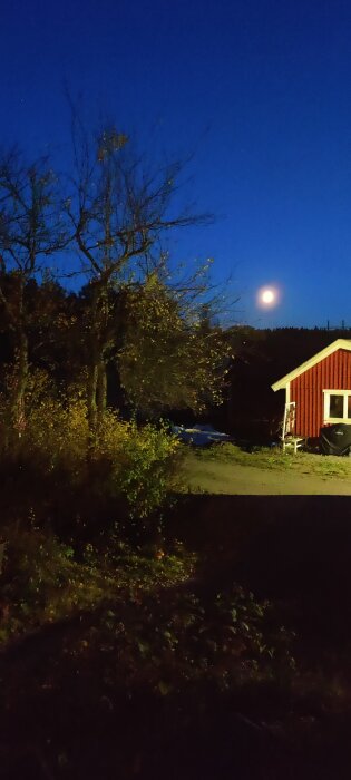 Röd stuga vid en skogskant i skymningen med fullmåne på klar natthimmel.