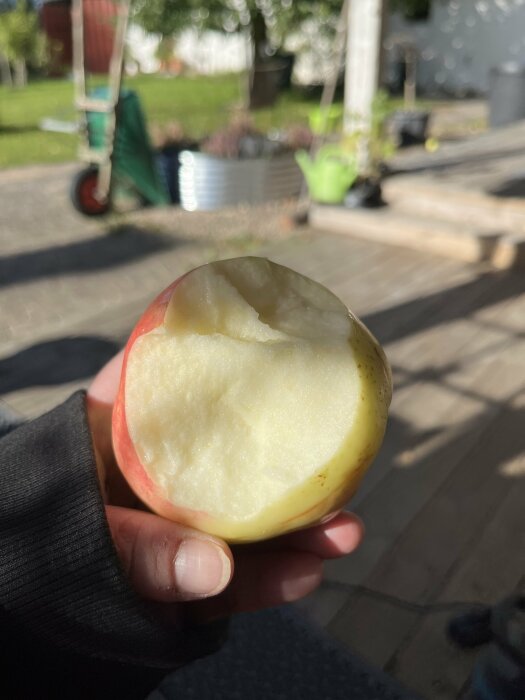 Ett äpple med ett bett i, hållet i en hand, i en trädgårdsmiljö.