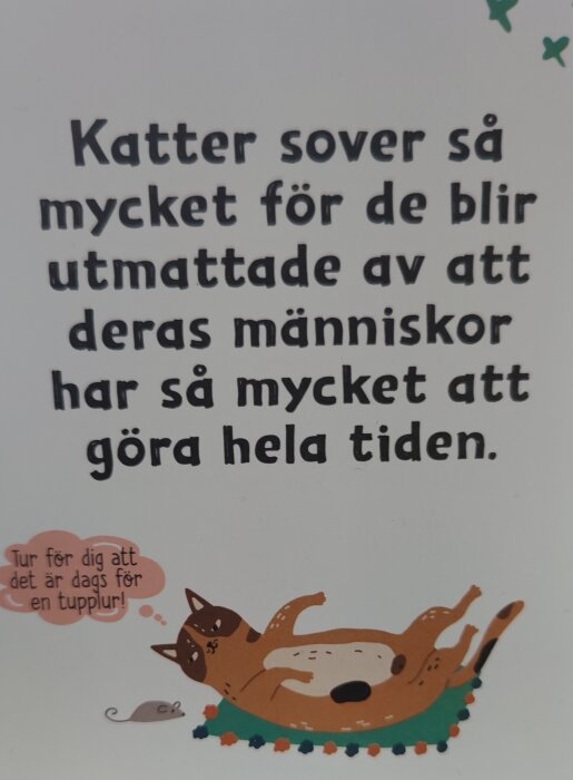 Illustration av en katt som ligger och vilar på en matta, med texten "Katter sover mycket för att deras människor har så mycket att göra hela tiden".