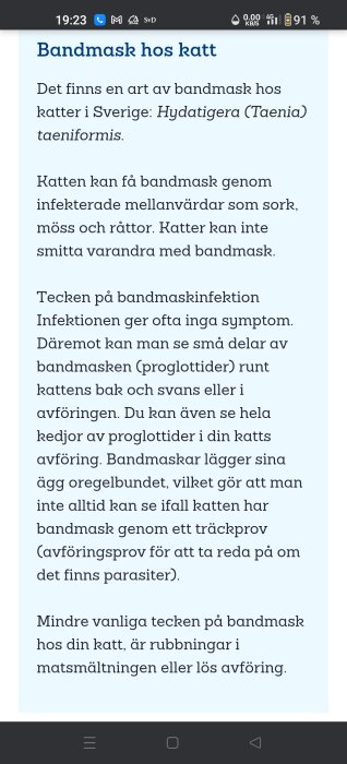 Text om bandmask hos katt, beskriver smittvägar, symptom och behandling. Nära symptomfri infektion men möjligt att identifiera genom avföringsprov.