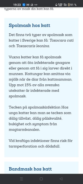 Text om spolmask hos katter, inklusive typer som Toxocara cati, smittvägar och symptom som dålig tillväxt och päls.