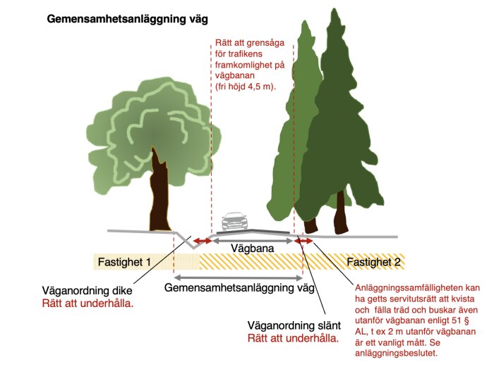 Diagram över gemensamhetsanläggning för väg med trädgräns och underhållsrätt för dike och slänt, samt typer av fastigheter vid vägbanan.