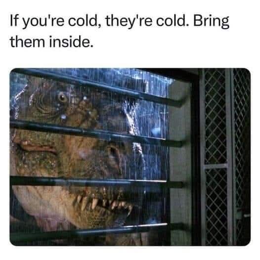 Dinosaurie står i regn utanför fönster med texten "If you're cold, they're cold. Bring them inside.