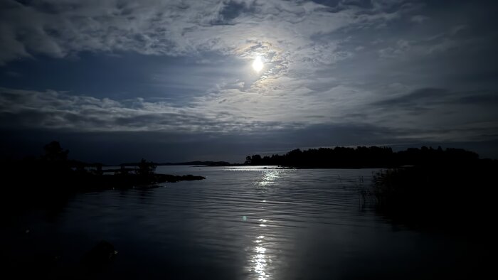 Månsken över en stilla sjö med reflektioner i vattnet och silhuett av träd i bakgrunden.