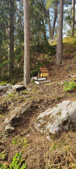 Skogsmiljö med föremål på marken, inklusive betongplattor och träbitar, omgiven av träd och stenar.