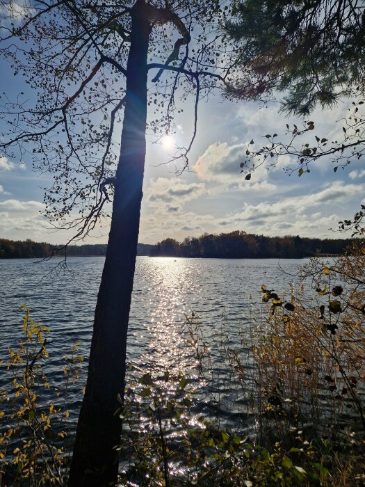 Solnedgång över sjö med träd i förgrunden, gnistrande vattenyta och molnig himmel.