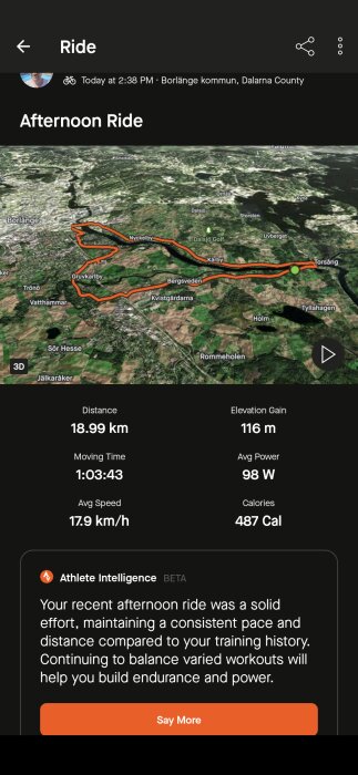 Karta över en cykeltur i Borlänge, Sverige, med rutt och statistik som distans 18,99 km, tid 1:03:43, medelhastighet 17,9 km/h, höjd 116 m och kalorier 487.