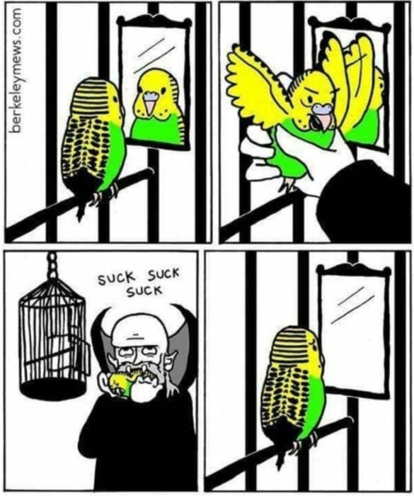 Fyrpanelad serie där en gulgrön undulat ser sig i spegeln, fångas av en hand, möter en vampyr som suger och återvänder till spegeln.