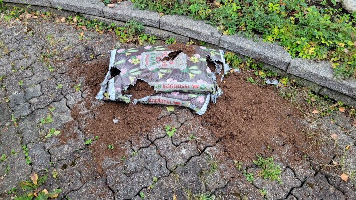 En trasig säck med kogödsel ligger på marken, med jord utspridd runt omkring, på en stenlagd yta nära en liten mur.