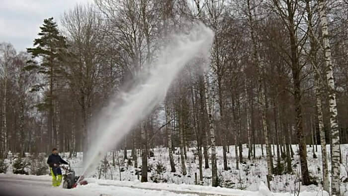 Man använder en snöslunga för att röja snö framför en skog. Snön kastas högt upp i luften.