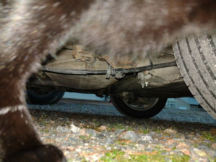 Vy under bilen med synlig del av chassi och bildäck på grusigt underlag, störd av närbild på ett husdjurs päls.