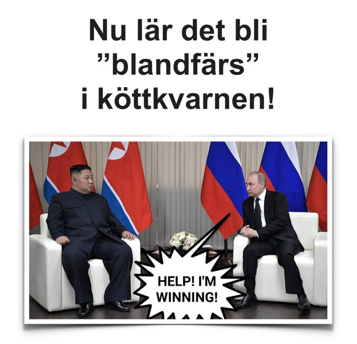 Två män i kostymer sitter i vita fåtöljer, omgivna av nordkoreanska och ryska flaggor. Bildtexten säger "HELP! I'M WINNING!