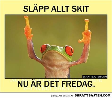 Grodmem med texten "Släpp allt skit, nu är det fredag", humoristisk illustration av en groda med uppsträckta händer.