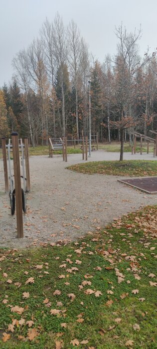 Utomhusgym i park med torrt grus och höstlöv, omgiven av trädgrönska under mulen himmel. Gymutrustning i trä och metall.