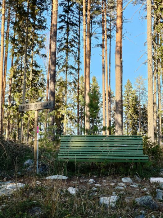 Grön bänk i skogsmiljö med en skylt som säger "Apelsinhyllan," tallar i bakgrunden och en klar blå himmel.