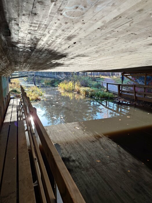 Vy av en träbro med staket under en större betongbro. Solsken lyser igenom och speglas i vattnet nedanför. Grönska syns längs vattendraget.