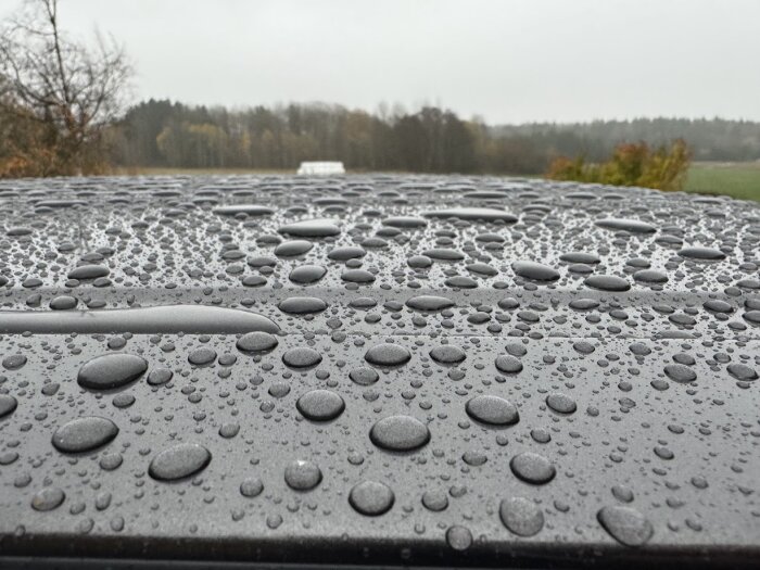 Bilden visar en våt bil med vattendroppar samlade på taket efter regn, omgiven av ett oskarpt landskap i bakgrunden.