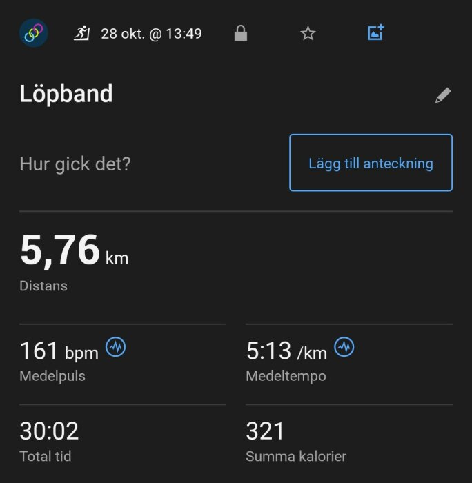 Skärmbild av löpbandsstatistik inklusive 5,76 km distans, 161 bpm medelpuls, 5:13/km medeltempo, 30:02 total tid, och 321 förbrända kalorier.