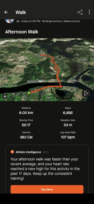 Karta över en eftermiddagspromenad i Borlänge med rutt, distans 6 km, tid 52 min och 17 s, kaloriförbrukning 383 Cal, och höjdmeter 53 m. Steg: 6,892.