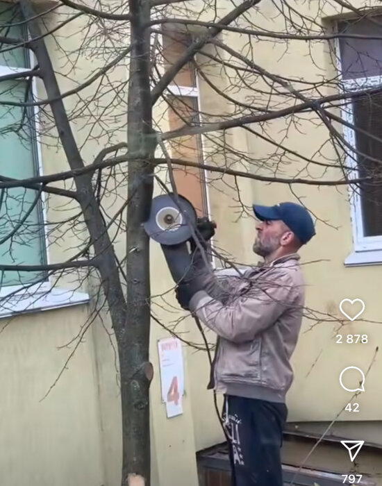 Person använder vinkelslip för att smärja av ett träd utanför ett hus, med fokus på verktyget och trädet i närbild.