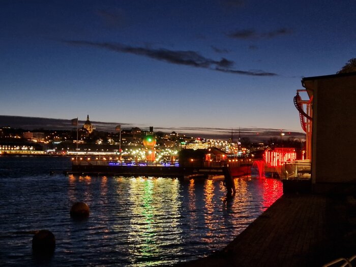 Nattvy över en stad vid vattnet med ljus från en nöjespark som speglas i vattnet, himlen i skymning och byggnader i bakgrunden.