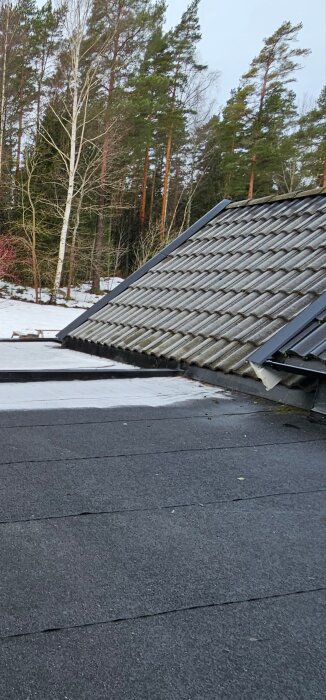 Takvy med betongpannor och asfaltpapp som visar höjdskillnader mellan byggnader, omgiven av skog och snö på marken.