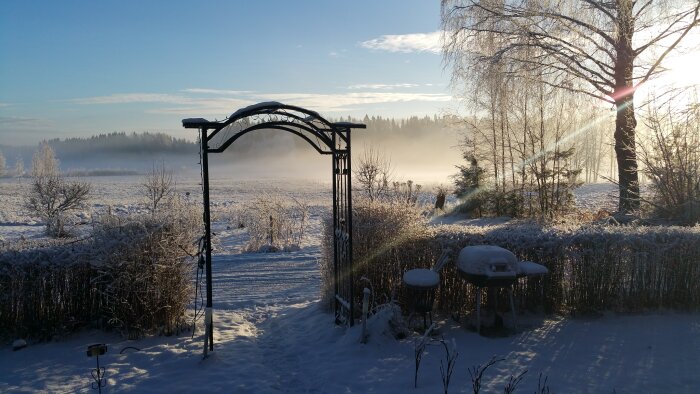 Vinterlandskap med snötäckt mark, träd, och en båge i trädgården. Morgonsol lyser genom grenarna, skapar en fridfull stämning.