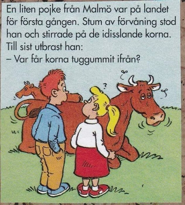 Tecknad bild av en pojke och flicka som tittar på en idisslande ko på en åker. Pojken undrar var korna får tuggummit ifrån.