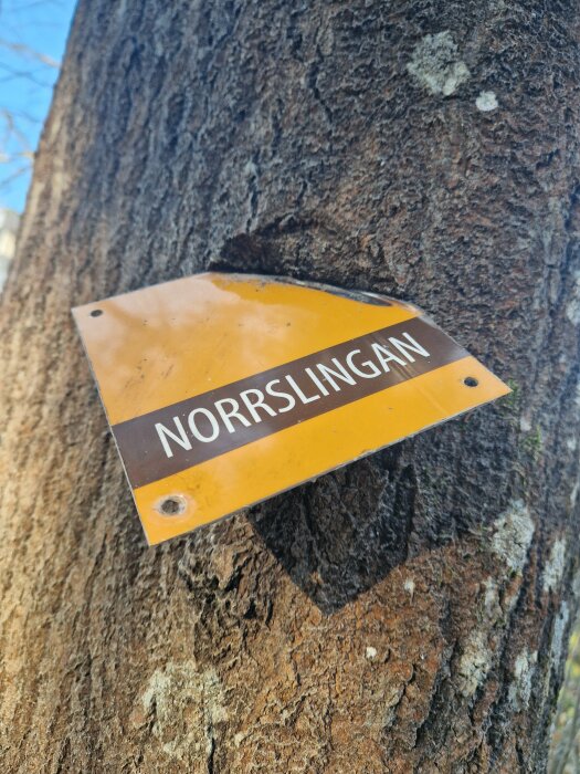 Skylt med texten "NORRSLINGAN" inbäddad i trädbark.