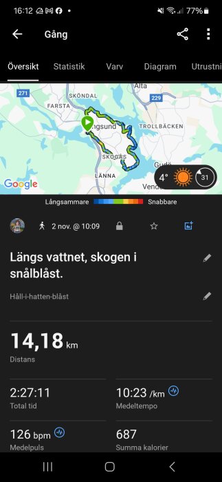 Karta och statistik från en promenad på 14,18 km runt Långsjön, distans och medelhastighet visas med väderinfo och genomförd tid.