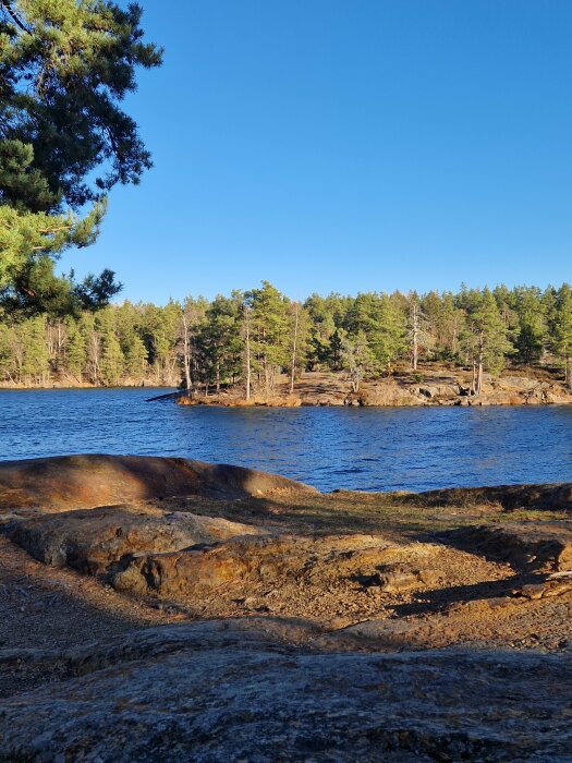 Sjön med omgivande tallskog under en klarblå himmel, vy från klippor vid vattnet.