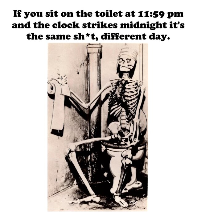 Skelett sitter på toalett med toapapper, under texten "If you sit on the toilet at 11:59 pm and the clock strikes midnight it's the same sh*t, different day".