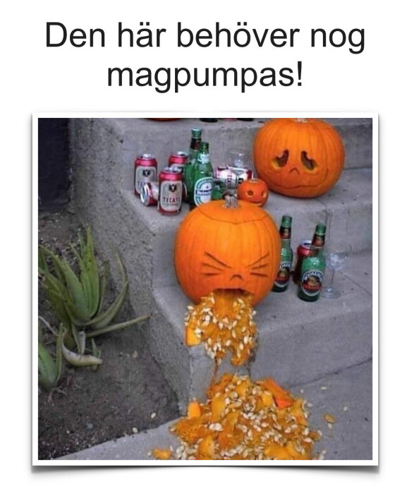 Halloweenpumpa som ser ut att kräkas upp pumpainnehåll bredvid tomma ölburkar och flaskor på en trappa.