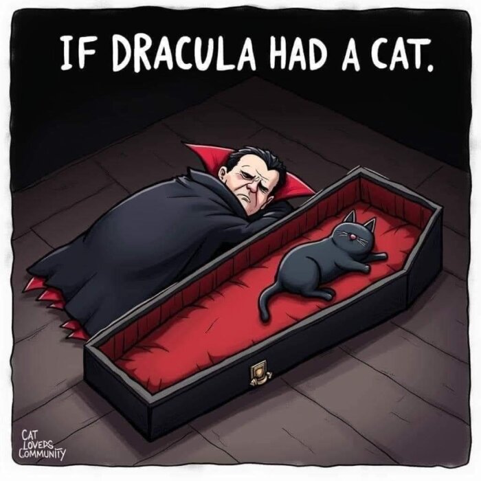 Tecknad bild på Dracula som ligger i en kista bredvid en svart katt. Texten säger: "If Dracula had a cat.