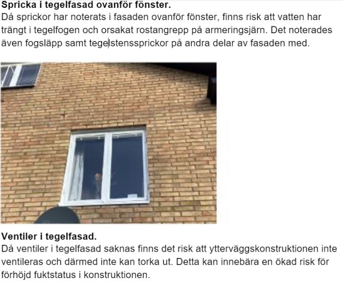 kolonigatan 11.PNG