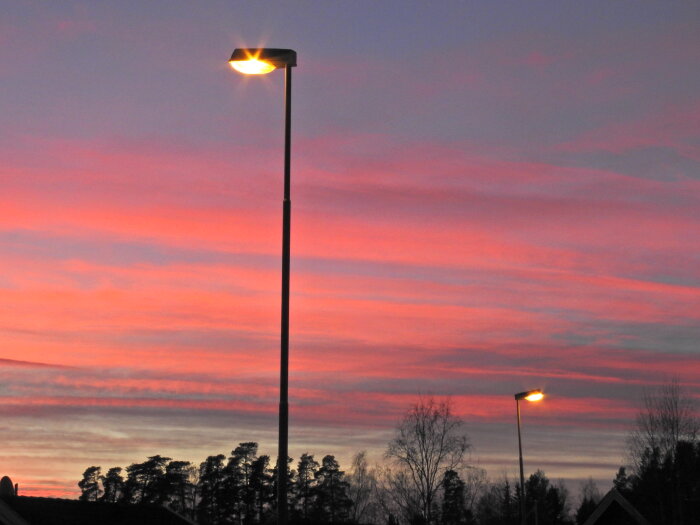 Gatulampa lyser mot en himmel i rosa och blå toner vid solnedgång. Träd och tak syns i silhuett.