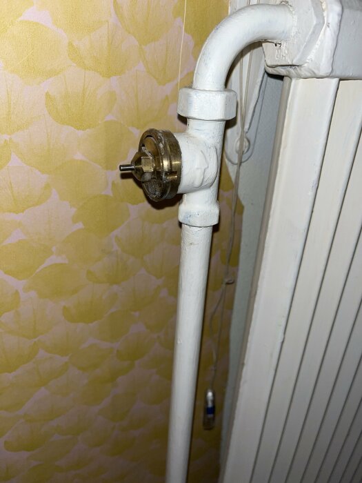 Radiatorrör med synlig ventilknopp framför blommig tapet.